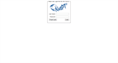 Desktop Screenshot of netpt.wsptn.com
